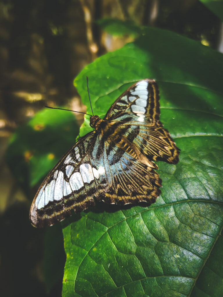 20230113_130449-768x1024