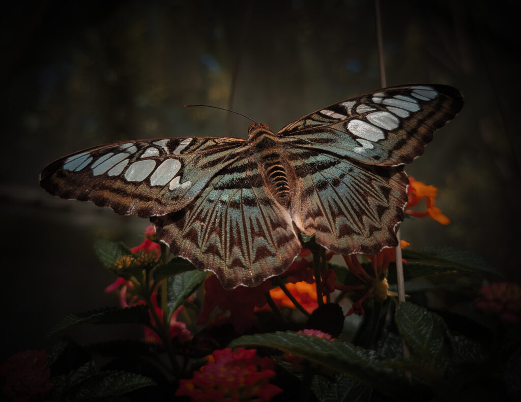 20230113_130606-1024x791